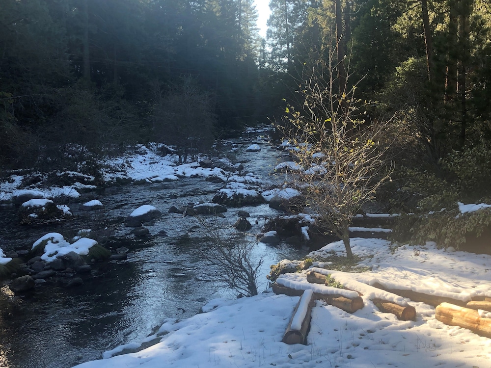 Sierra Inn on the River - photo 16