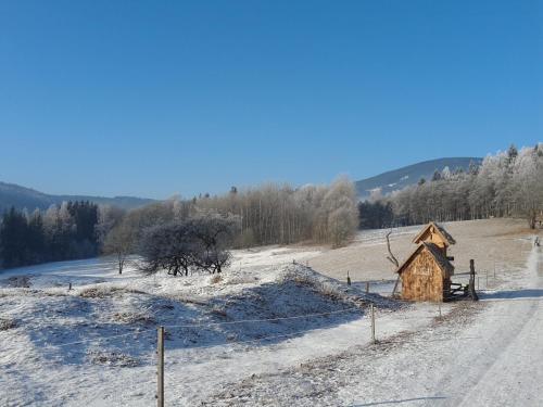 Ubytování Černá hora II in Svoboda Nad Upou, Czech Republic