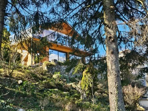 Bois Des Alpes in Annecy, France