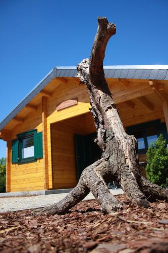 mySeenland - carbon neutral hotel in Senftenberg