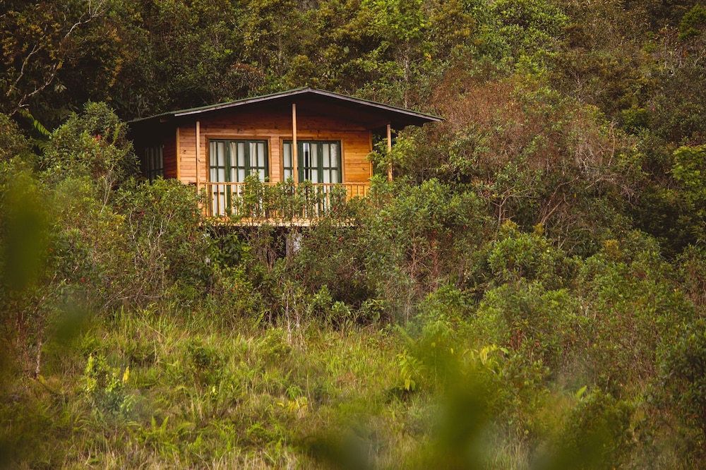 Ulcumano Ecolodge — Chontabamba