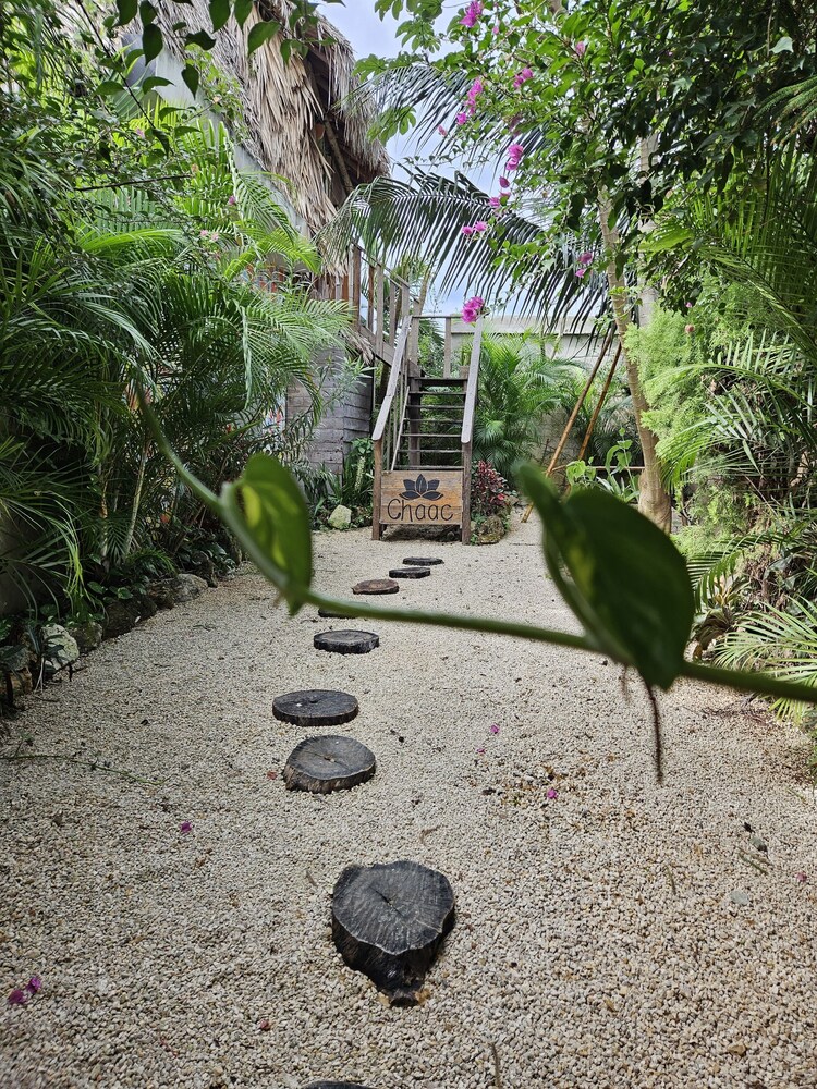 Jungla Bacalar — Bacalar — photo 3