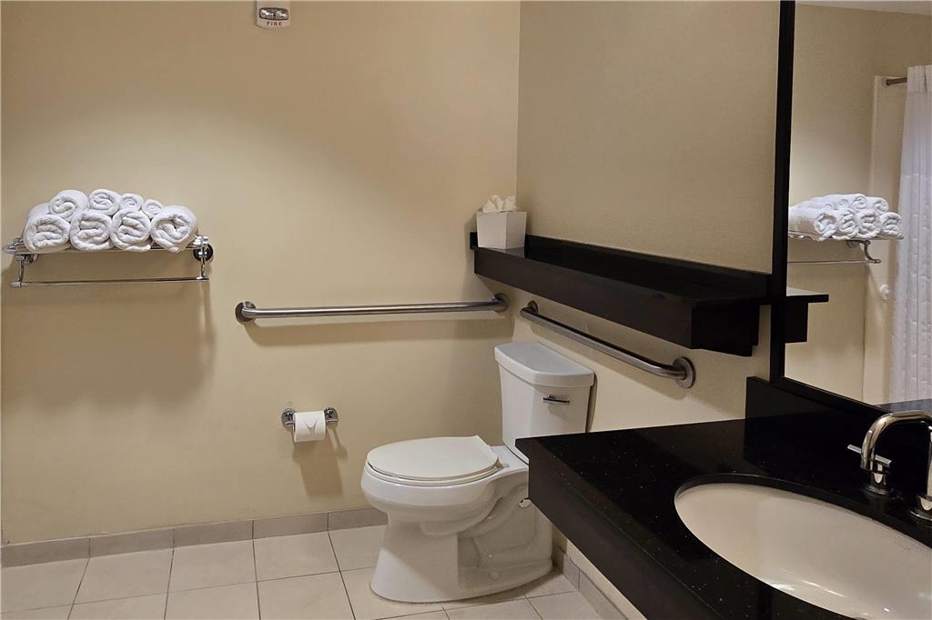 Ramada Plaza Resort & Suites by Wyndham Orlando Intl Drive - photo 55