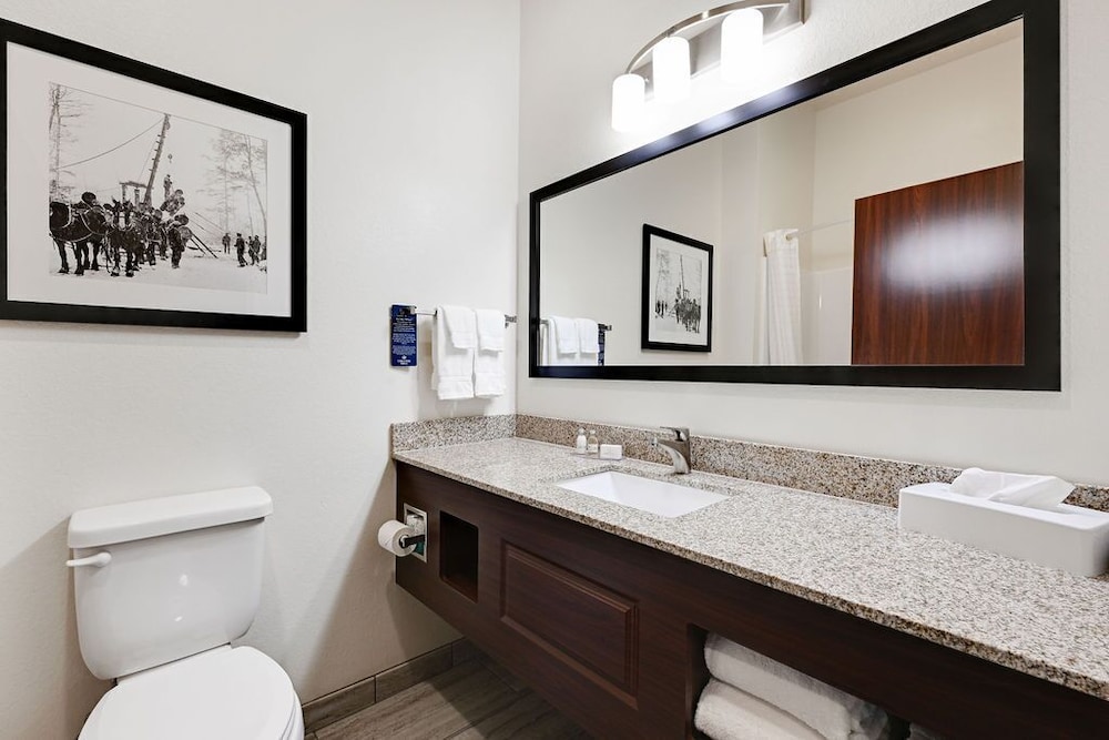 Cobblestone Hotel & Suites Mosinee - photo 59