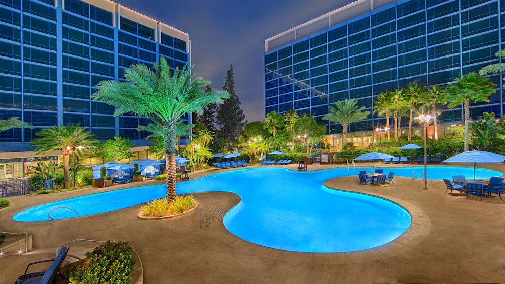 Disneyland Hotel - photo 45