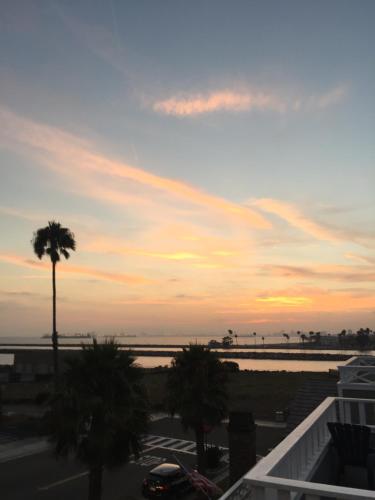 California Dreamin' - photo 36