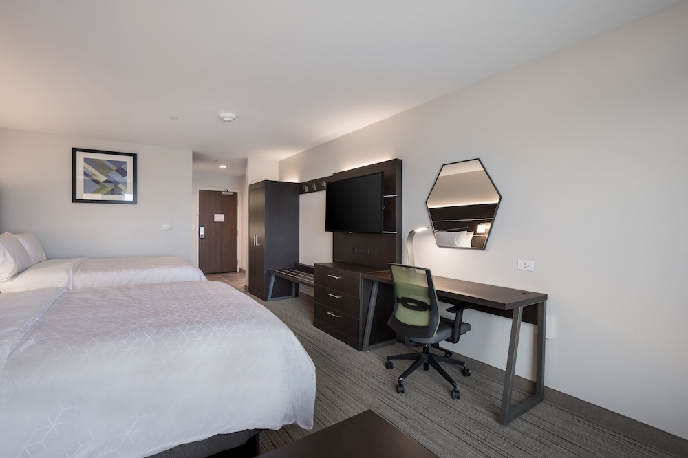 Holiday Inn Express & Suites Chicago Hoffman Estates by IHG - photo 10