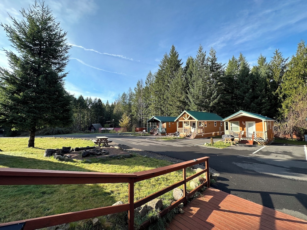 Packwood Lodge - photo 2