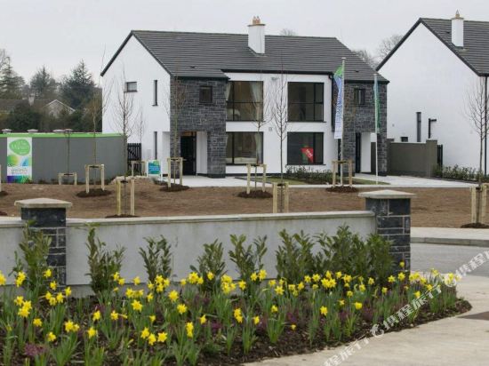 The Hawthorn in Unknown City, Republic of Ireland