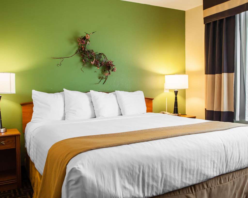 Quality Inn Bolingbrook I 55 - photo 21