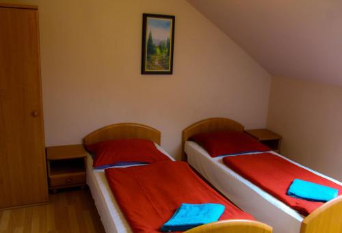 Fáradt Vándor Panzió pet-friendly hotel Romhany
