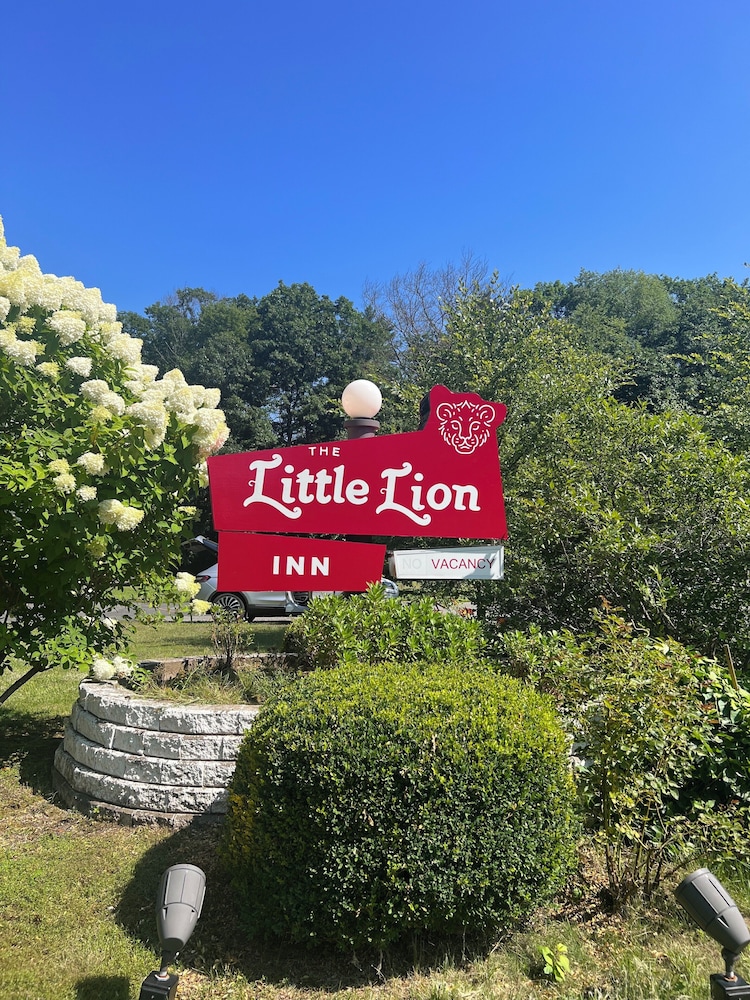 The Little Lion - photo 38