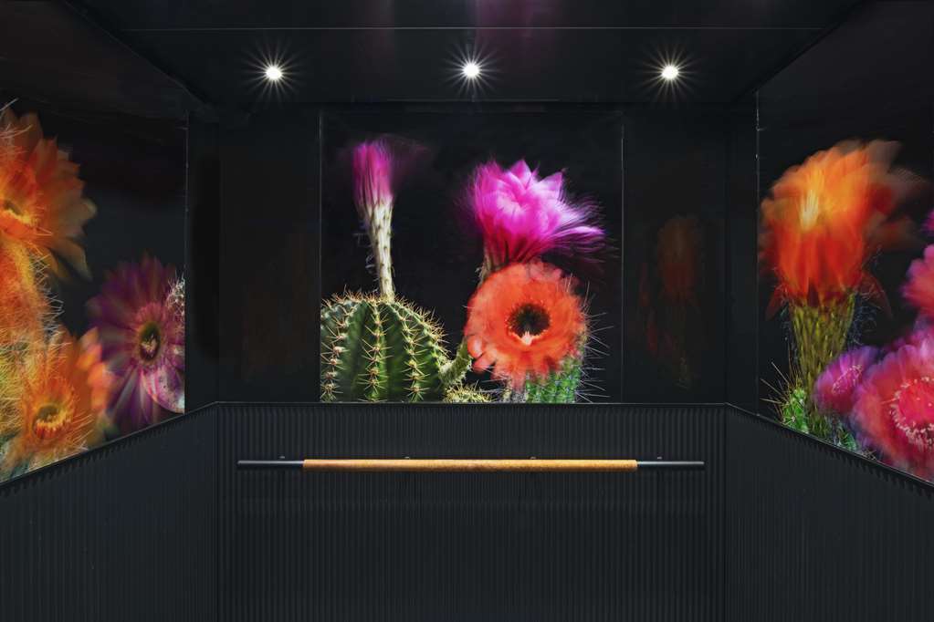 Tommie Austin part of Jdv by Hyatt - photo 18
