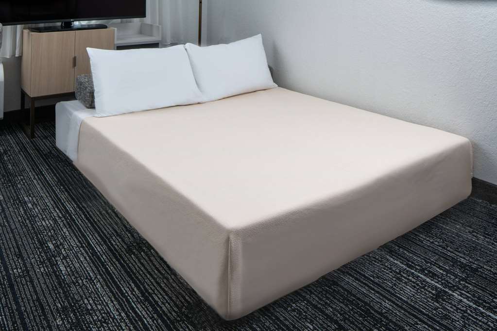 Sonesta Simply Suites Falls Church - photo 10