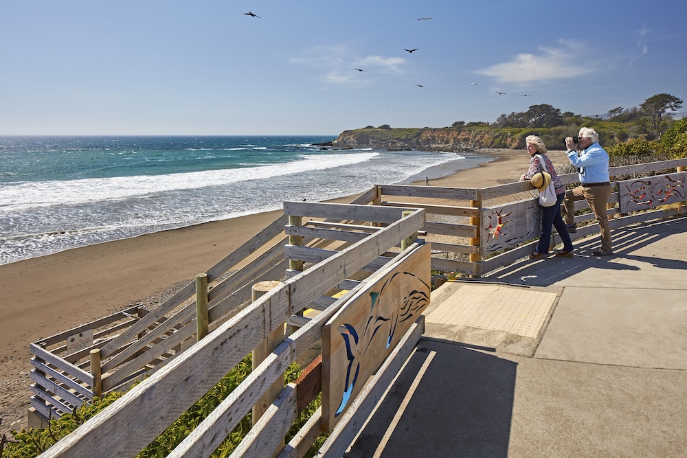 Cavalier Oceanfront Resort - photo 49