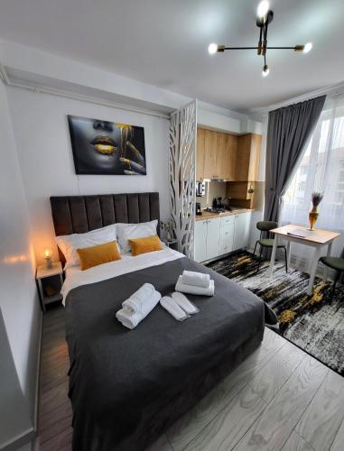 Studio Helen 20308302 — Onesti