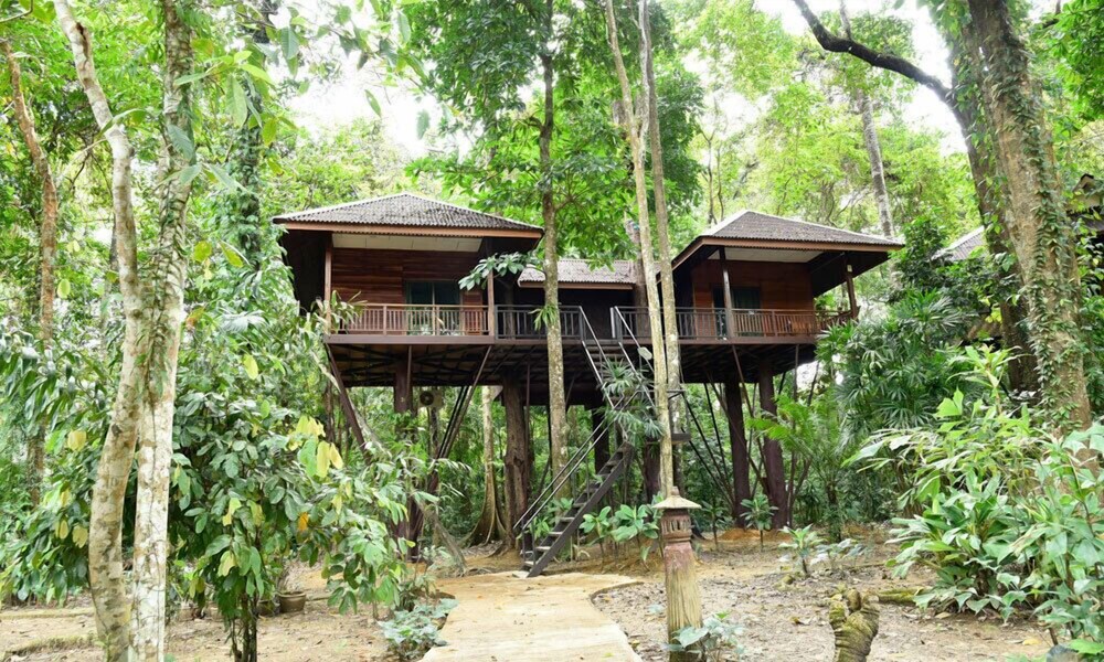 Khao Sok Nature Resort in Phanom, Thailand