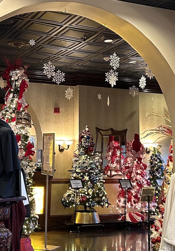 The Blennerhassett Hotel - photo 4