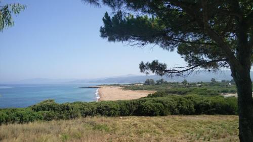 Tzanetos Seaside — hotel in Kyparissia