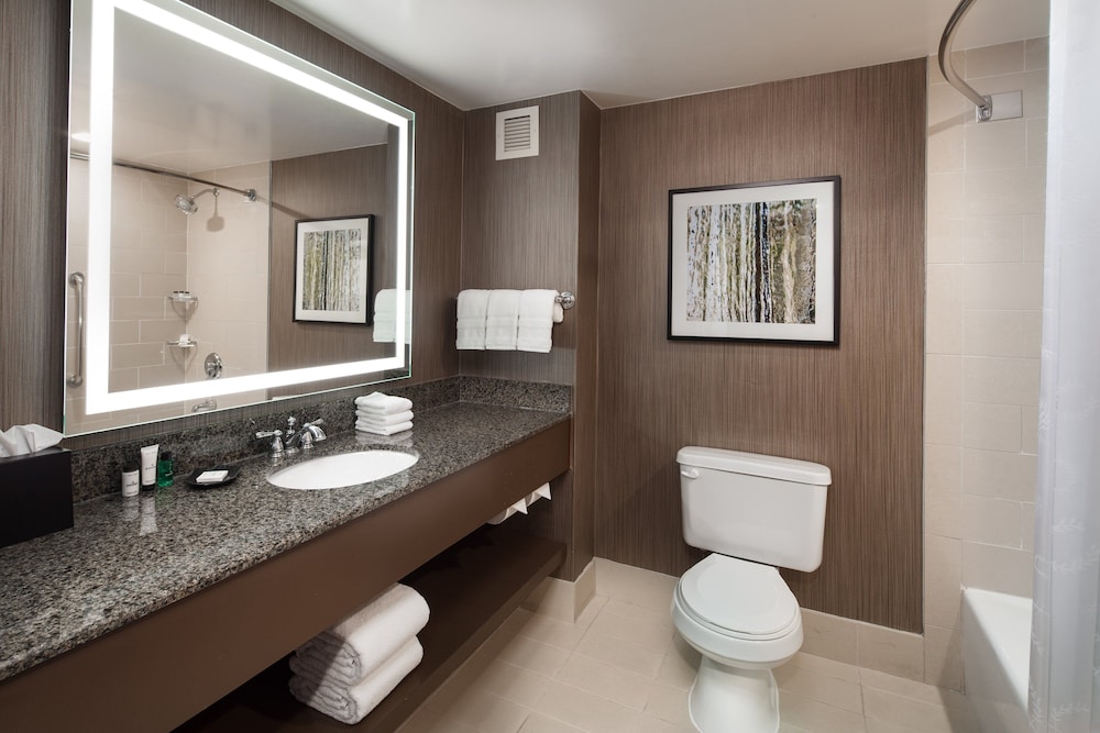 Sheraton Agoura Hills Hotel - photo 14