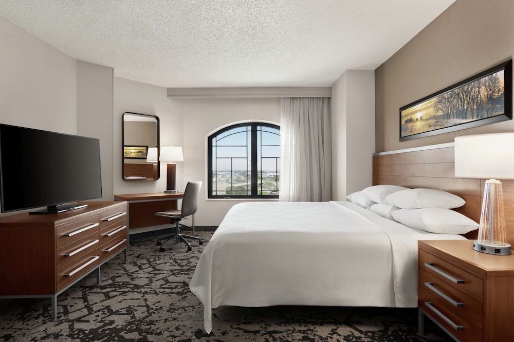 Embassy Suites by Hilton Dallas DFW Airport North - photo 23