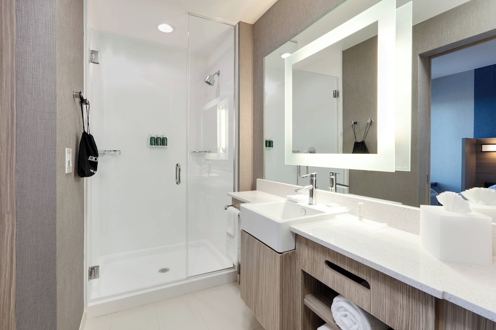 Springhill Suites Dallas Mansfield - photo 12