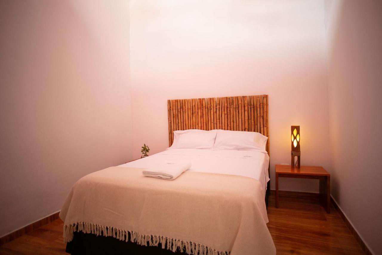 Muyuterra in Moyobamba, Peru