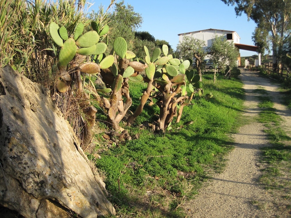 L Agave e la Palma Nana — Ribera — photo 4