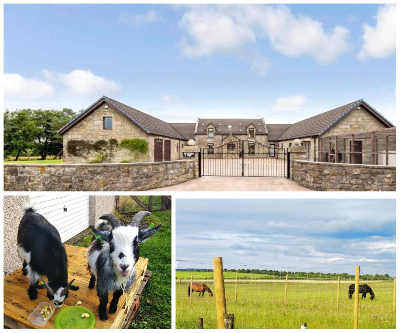 Cottage with Panoramic Views — 4-Star Luxury Hotel in Shotts, United Kingdom
