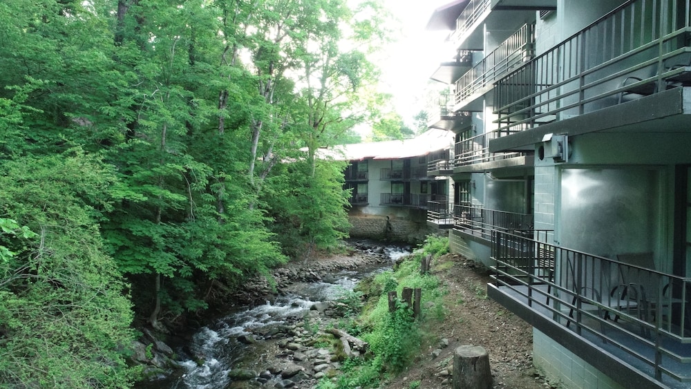 Bear Creek Inn - photo 46