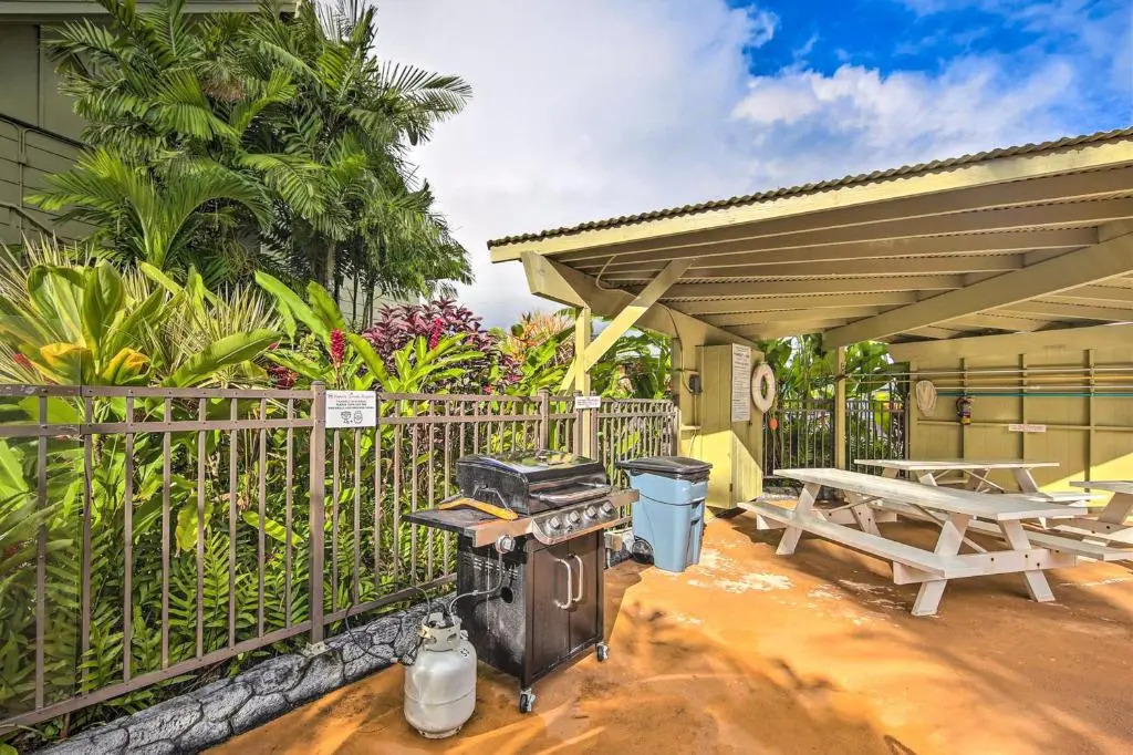 Kapaa Sands - photo 8