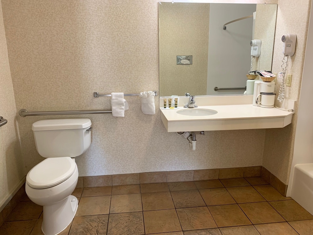 Olive Tree Inn & Suites by Howard Johnson WYNDHAM - photo 28