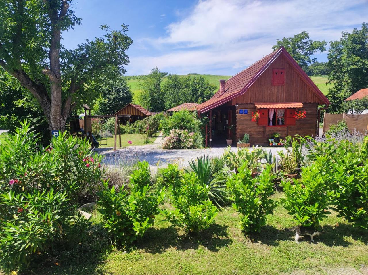 Pod Orehom Drvena Kuca I Sauna — hotel in Radoboj