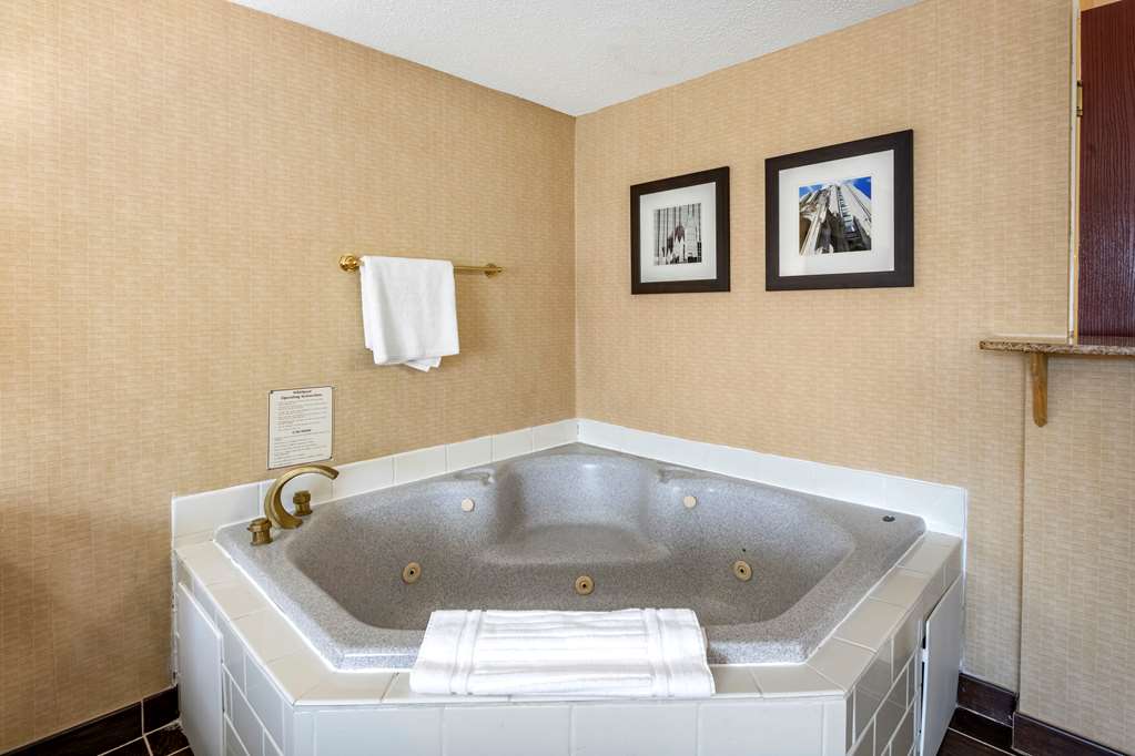 Comfort Inn Meadowlands - photo 23