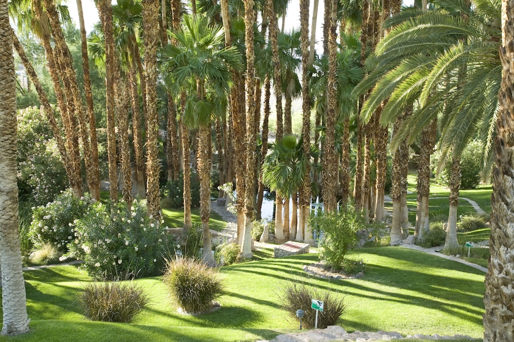 The Inn at Death Valley Inside the Park - photo 50