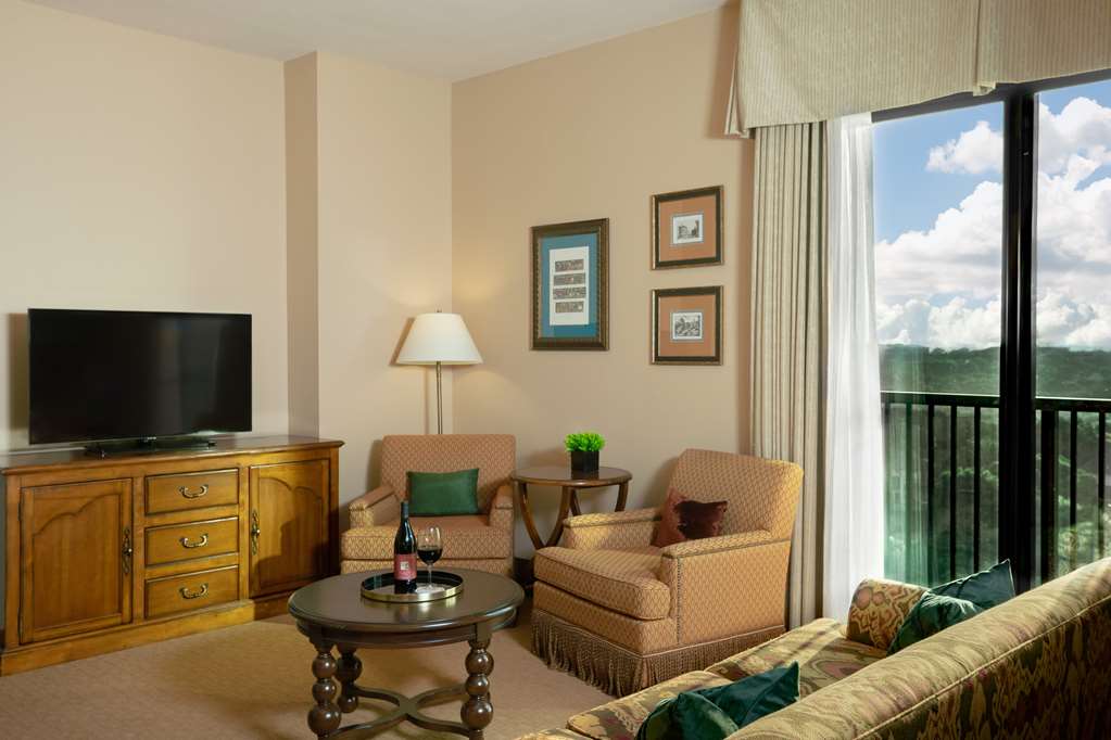 Hotel Viata - photo 16