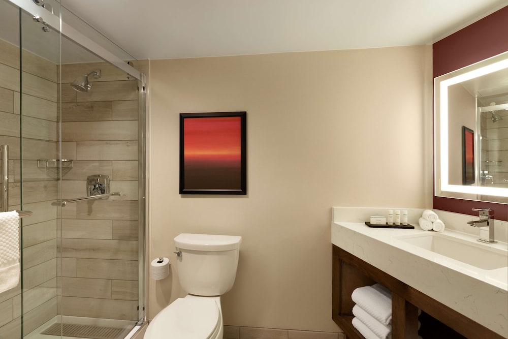 Embassy Suites by Hilton Phoenix Downtown North - photo 34