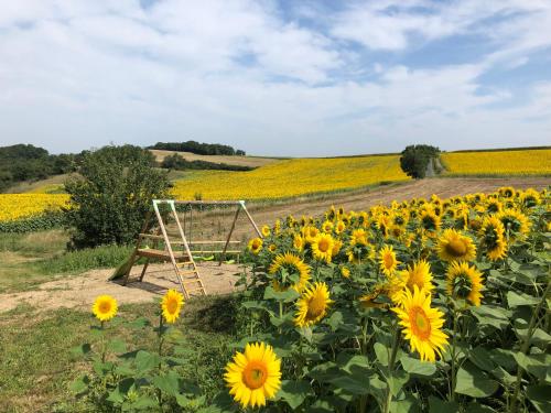 Les Gites D'en Julio — hotel in Puylaurens