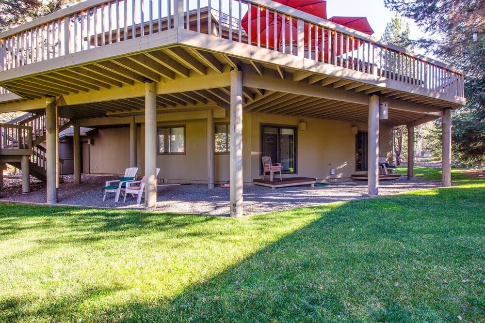 Tan Oak 15 - photo 10