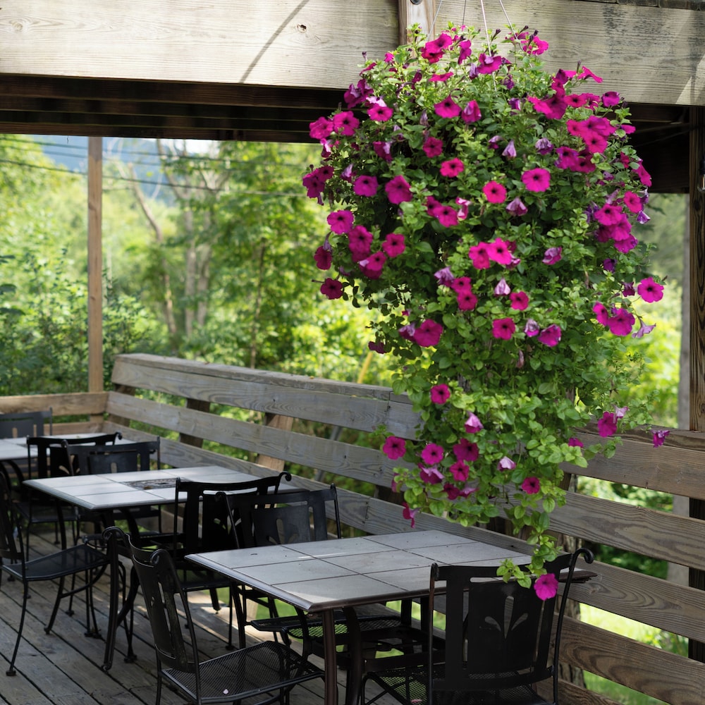 Catskill Seasons Inn - photo 99