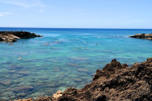 Kalani Hawaii Private Lodging - photo 169