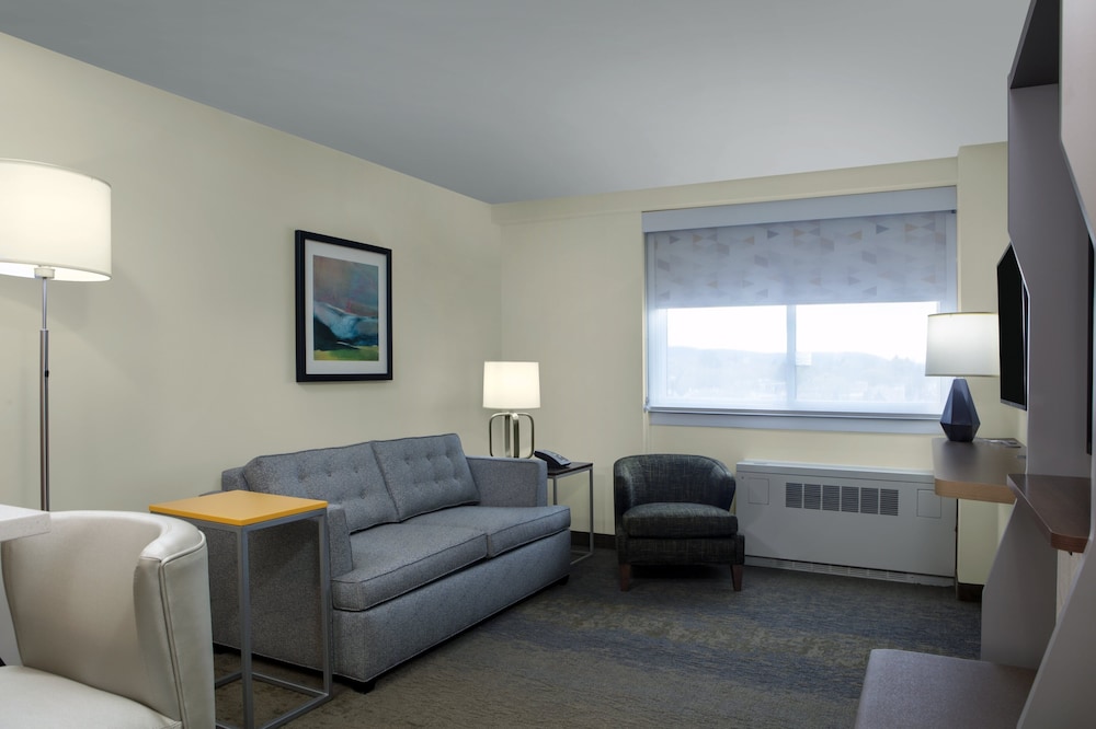 Holiday Inn Binghamton Downtown by IHG - photo 13