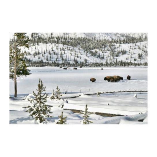Beaverhead By Resort Property Management - photo 13