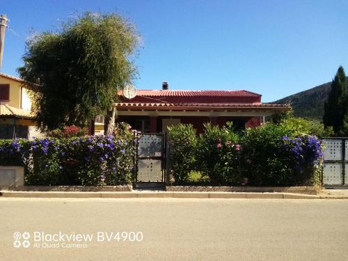 CasaNikisMiau - last minute hotel in Unknown City