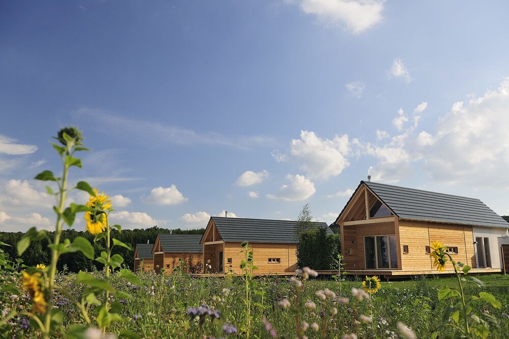 Hainichhöfe Premiumchalets — hotel in Ruhla