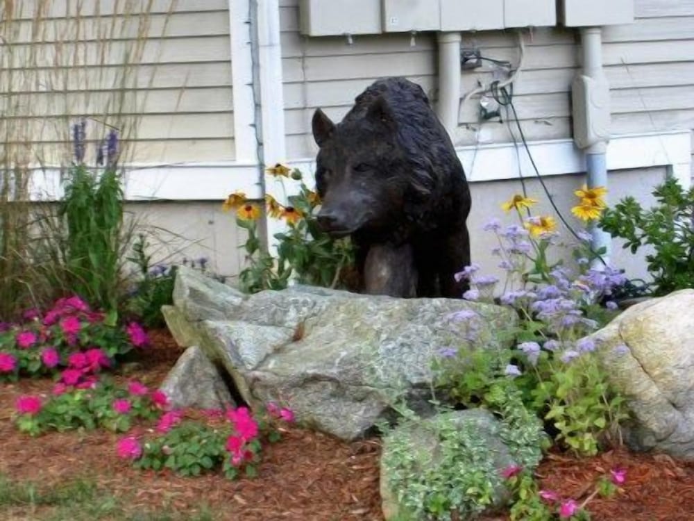 Cedar Park Inn - photo 27