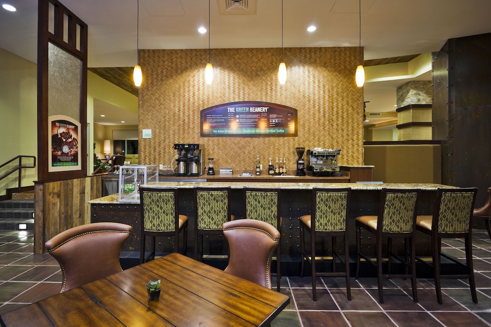 Holiday Inn San Antonio Seaworld by IHG - photo 33