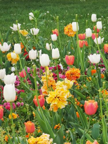 Retai Edit Szieszta in Hajduszoboszlo, Hungary