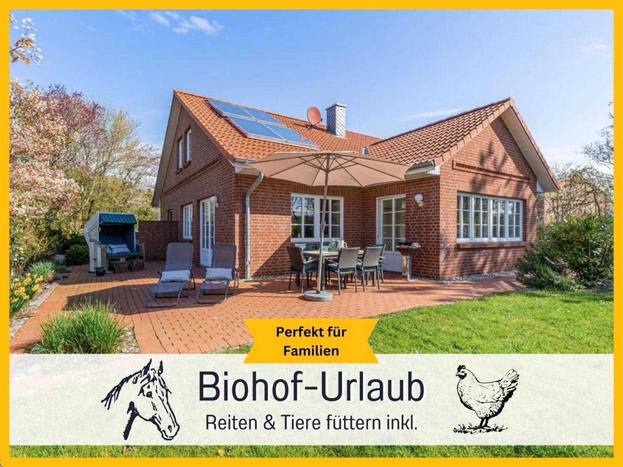 Bio Ferienhof Wichtelweide Ferienhaus Lichtblick in Fehmarn, Germany