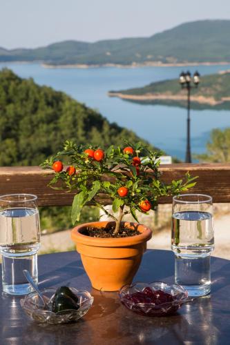 Χρυσοπελεια Chrisopeleia Lake View — Oichalia — photo 5